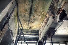 Best HVAC Mold Inspection and Cleaning  in Isla Vista, CA